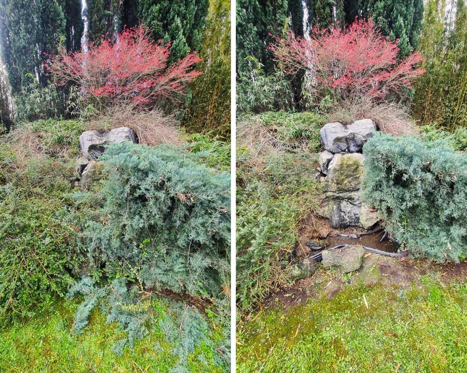 Que se cache derrière ce bosquet ? Un joli petit bassin ! 🏞️🍀
