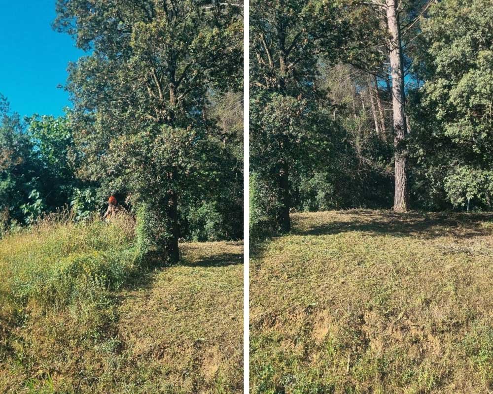 Et c’est parti pour un débroussaillage annuel complet d&rsquo;un jardin à la Treille ! 🌿