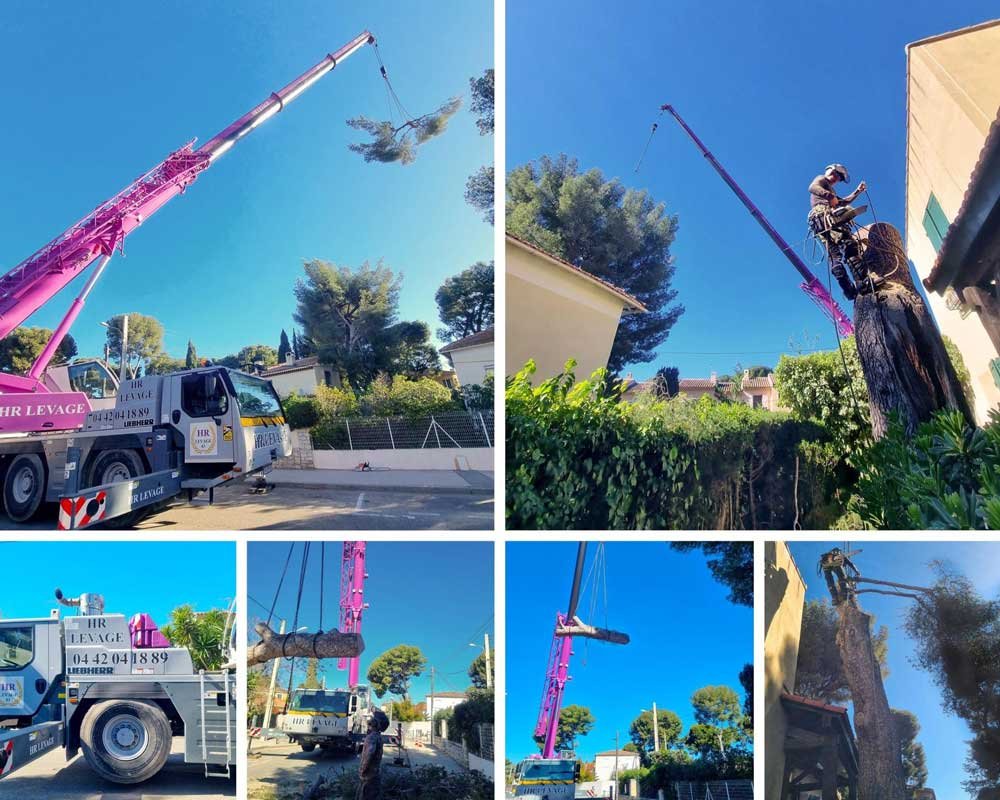 Retour en images sur une lourde intervention de l’abattage d’un pin proche d’une maison 👷
