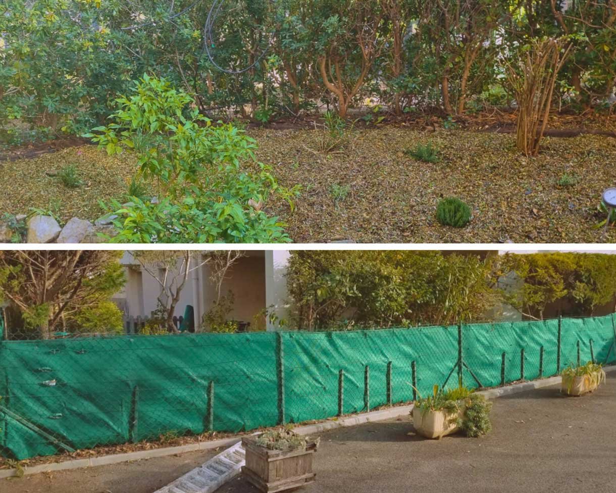 🌿 Créez votre oasis de tranquillité avec une toile verte occultante ! 🌿